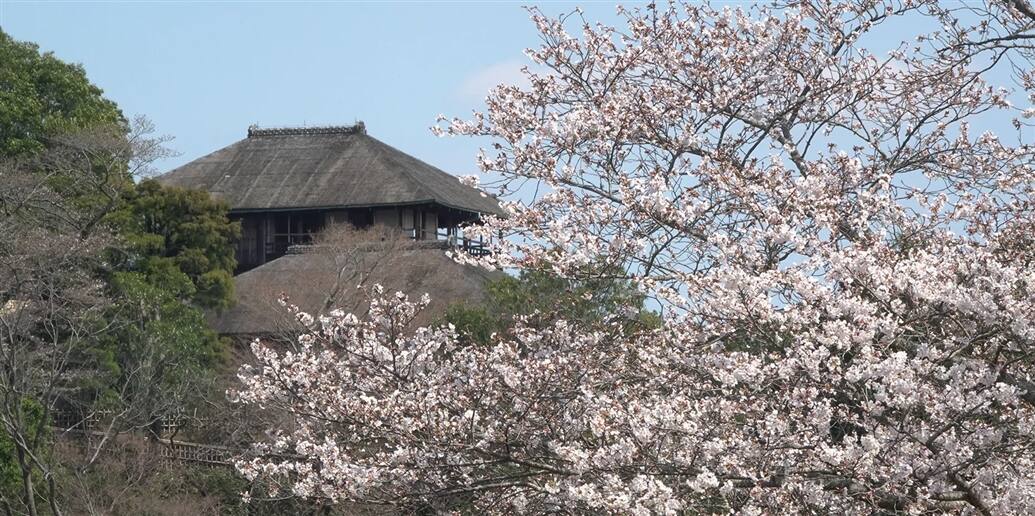 偕楽園（水戸市）